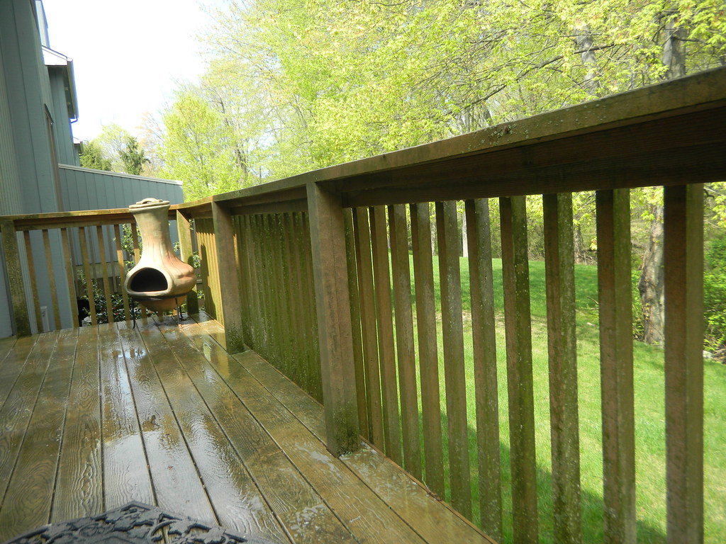 Soft Washing vs Pressure Washing: A Richmond Homeowner's Guide